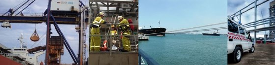 Corporate Protection Australia Group: Security Consultancy